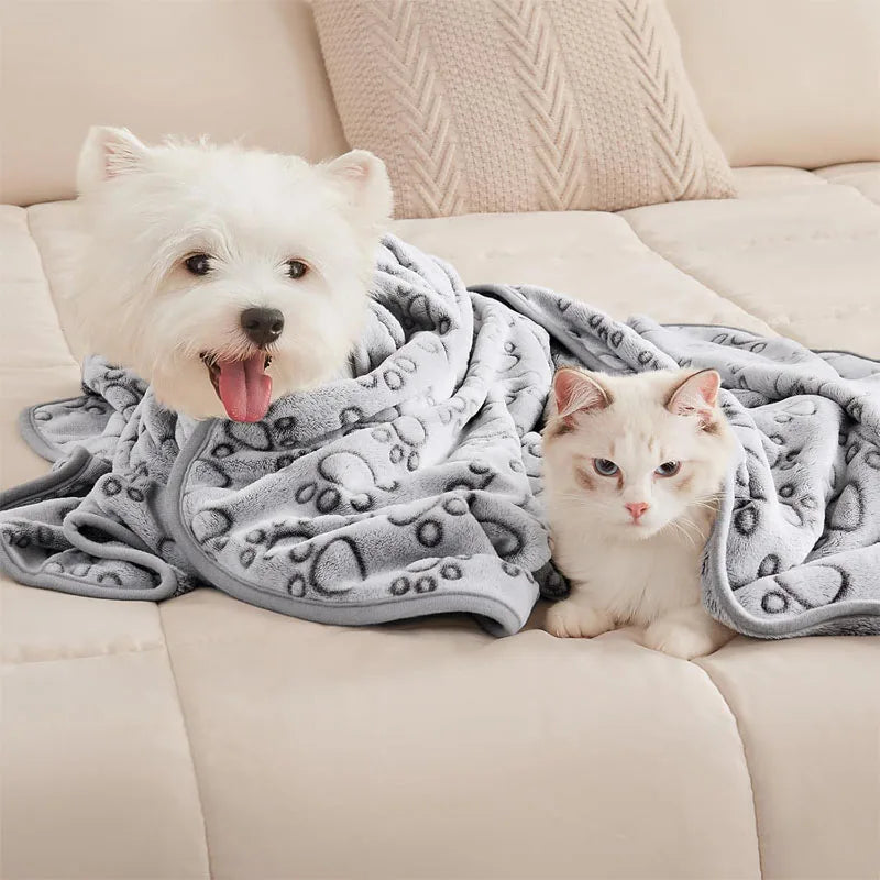 2PCS Soft Fluffy High Quality Pet Blanket Cute Cartoon Pattern Paw Print Dog Pet Mat Warm and Comfortable Blanket for Cat Dogs