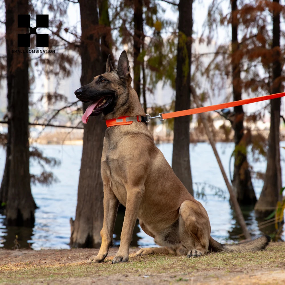 Personalized Adjustable Nylon Reflective Dog Collar with AirTag Holder for Small Medium and Large Dogs