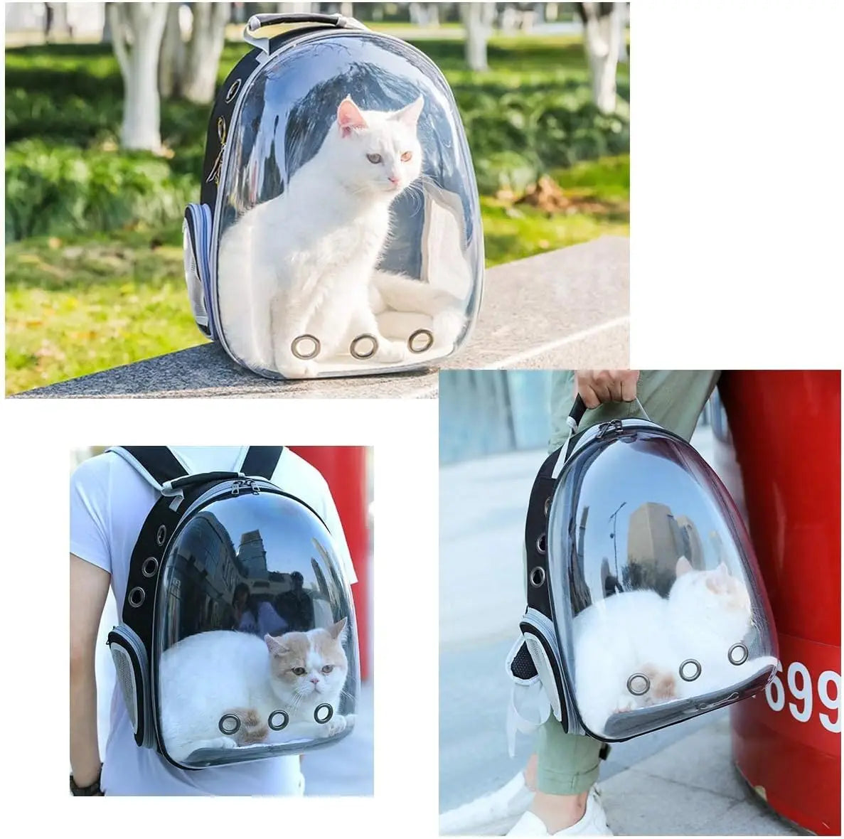 Cat Pet Carrier Backpack Transparent Capsule Bubble Pet Carrier for Small Animals Puppies Kitties Birds Travel