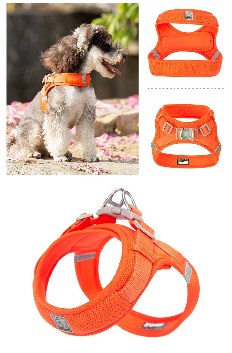 Truelove Adjustable Pet Harness for Small and Medium Dogs Breathable Nylon Mesh Outdoor Training Heavy Duty TLH3013