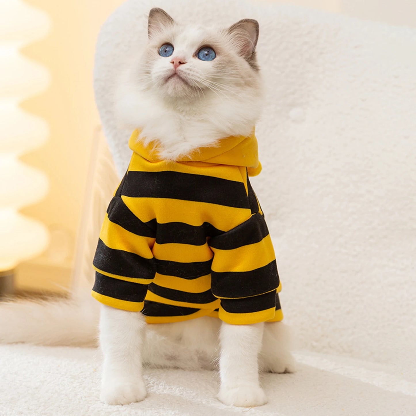 Cats Costume Pet Bee Halloween Costume Small Pets Apparel Fashion Adorable Cats Hoodies