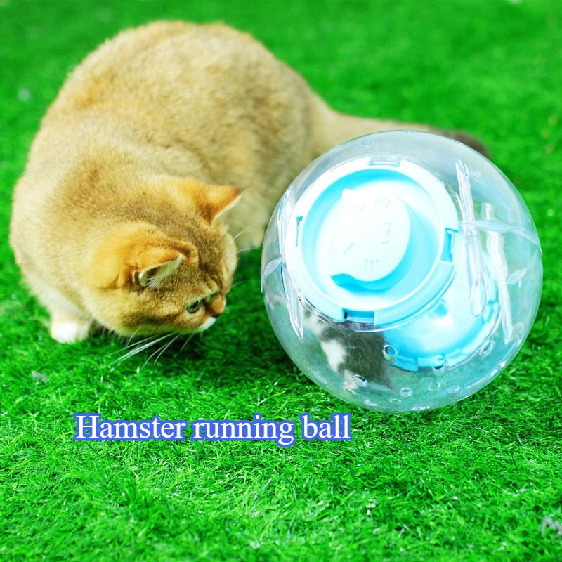 Hamster Running Ball Toy Golden Bear Transparent Crystal Running Ball Pet Sports Equipment