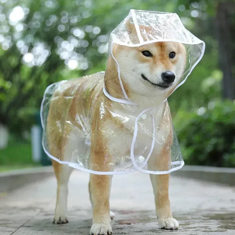 Waterproof Hooded Raincoat for Small Dogs - Soft PVC Puppy Poncho, Transparent & Stylish Pet Jacket