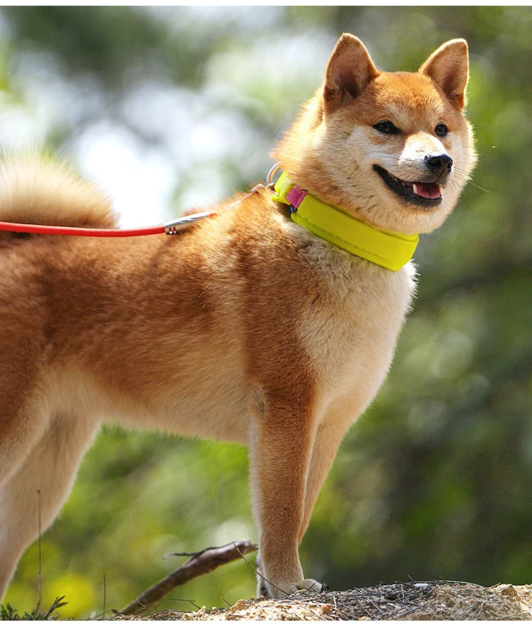 Personalized Adjustable Nylon Reflective Dog Collar with AirTag Holder for Small Medium and Large Dogs