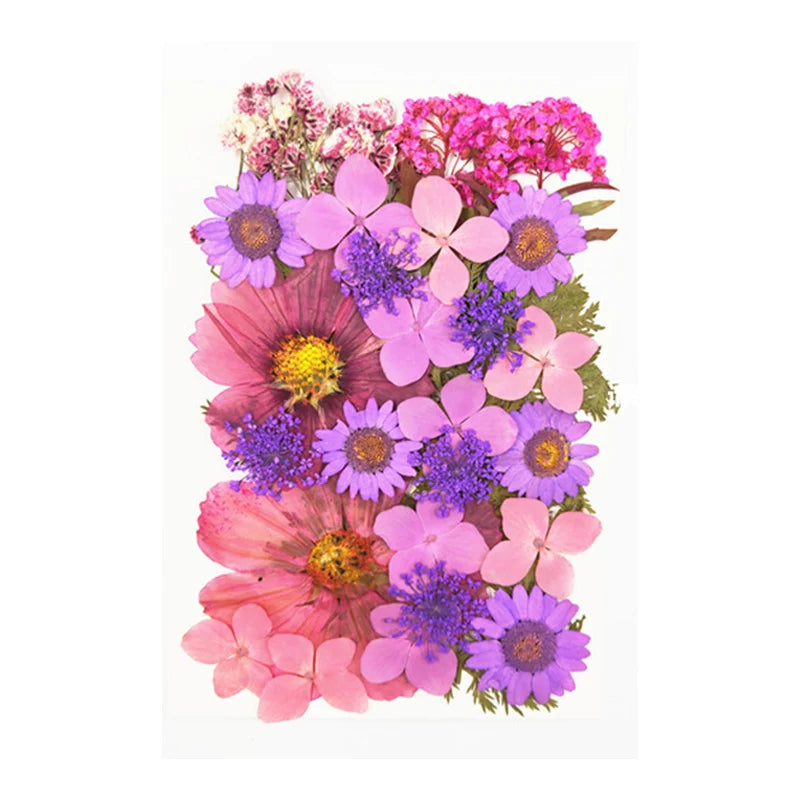 Dried Flowers Real Natural Plant Pressed Flower for Epoxy Resin DIY Keychain Pendant Jewelry Making