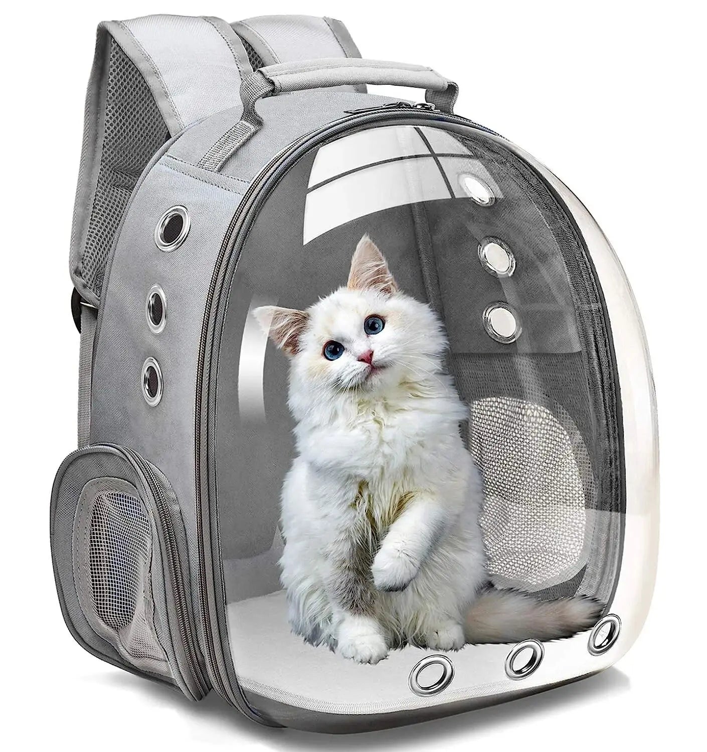 Cat Pet Carrier Backpack Transparent Capsule Bubble Pet Carrier for Small Animals Puppies Kitties Birds Travel