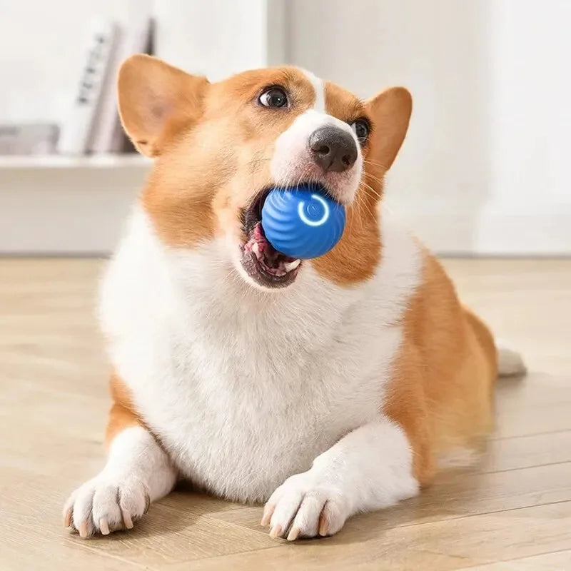 Smart Dog Toy Ball Electronic Interactive Moving Ball USB Bouncing Pet Toy for Puppies and Cats