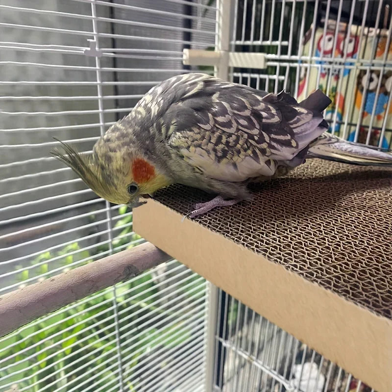 Parrot Chew Toys, Pet Bird Shredded Paper Playthings, Stress Relief Chew Boards, Parrot Toys, Bird Cage Accessories Supplies