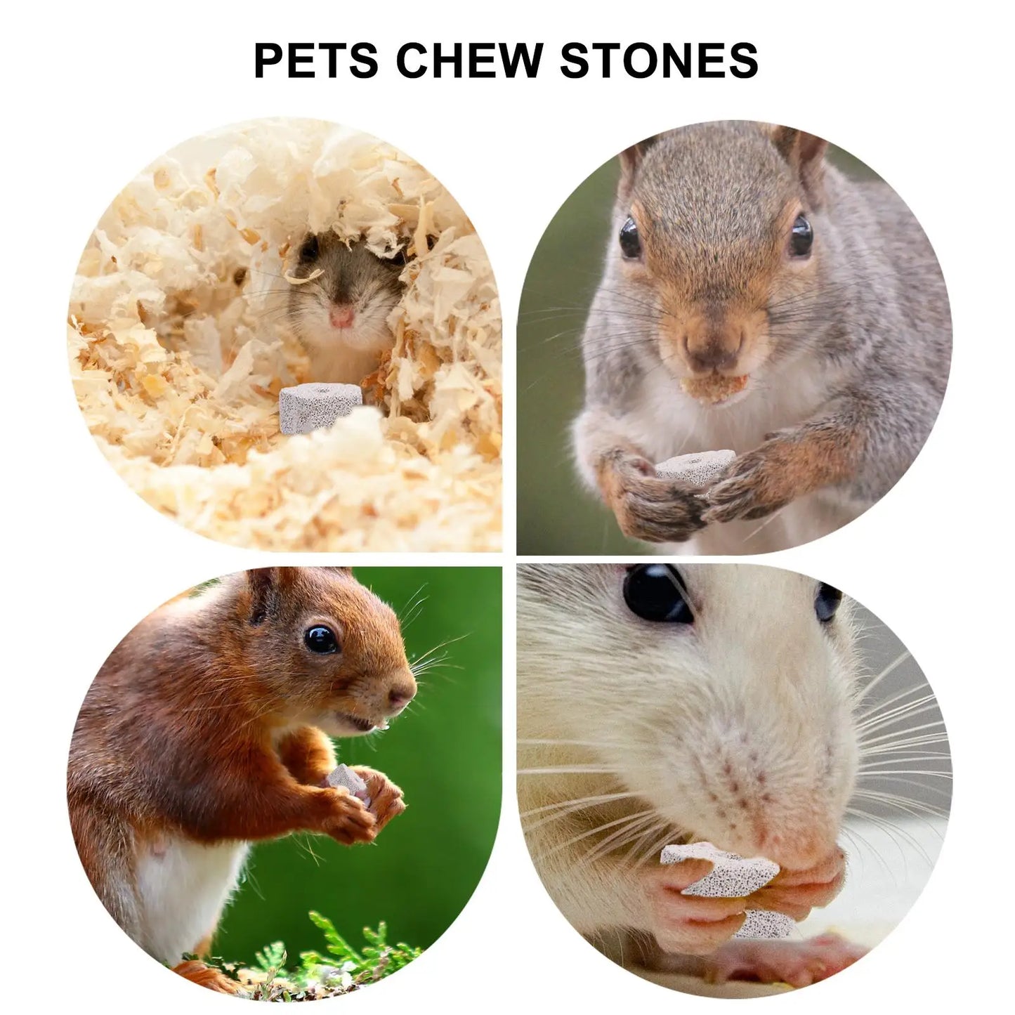 12 Pcs Molar Stone Pet Chew Toys Volcanic Rock Teeth Grinder for Hamster Rabbit Mineral 4x2cm Safe Chew Bright Color Creative