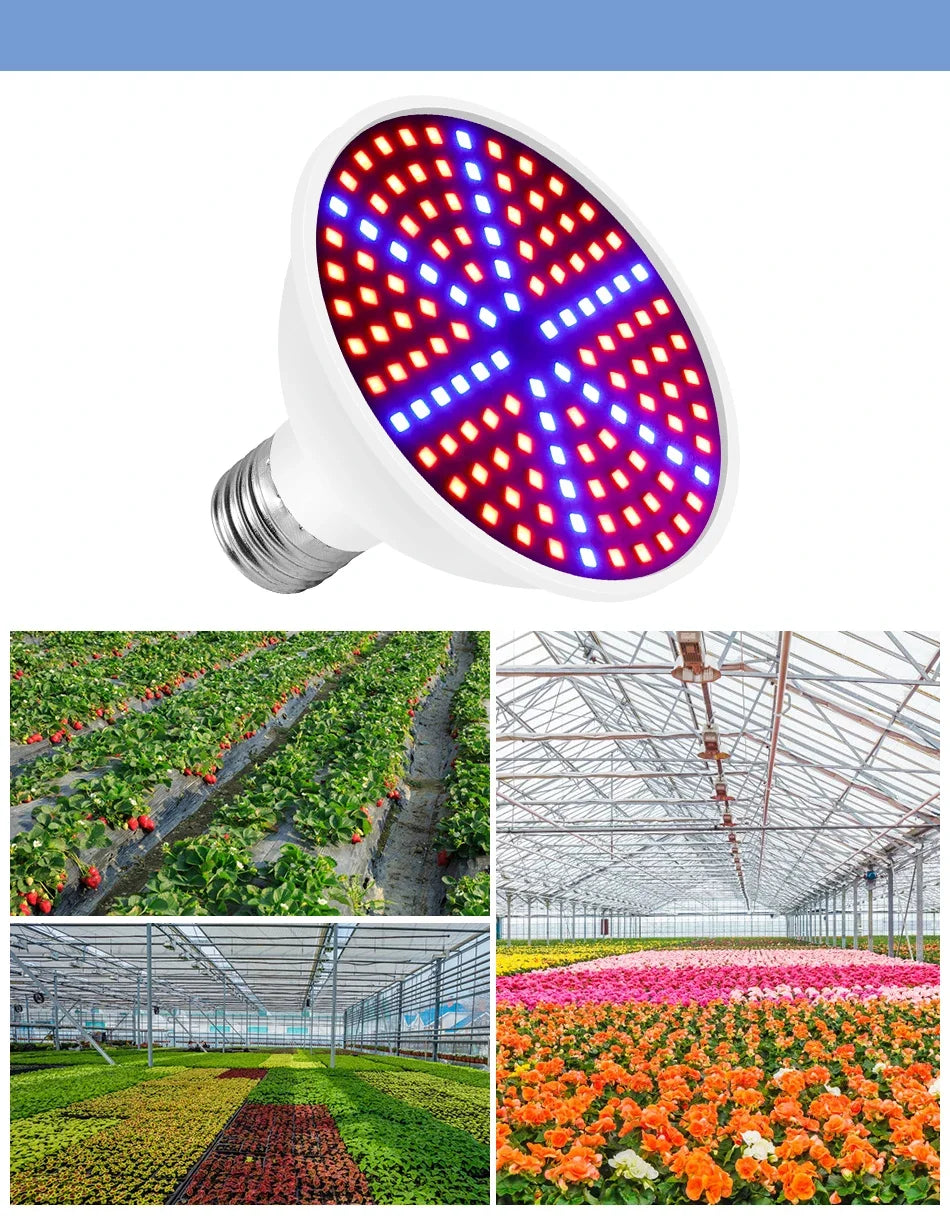 220V E27 300LEDs Plant Grow Light Full Spectrum Bulb