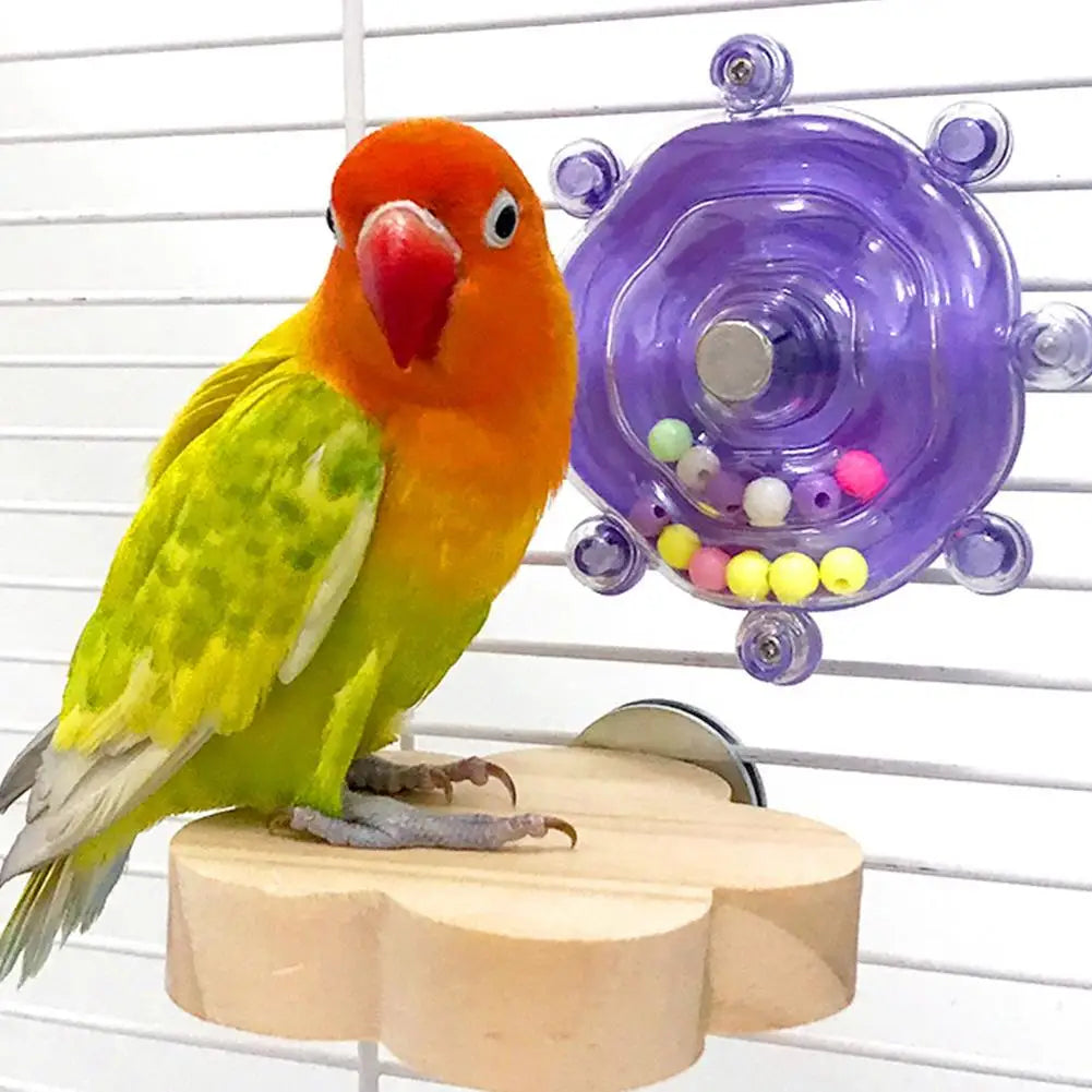 Colorful Parrot Decompression Toy Rotating Help Pets Energy Toy Safe Of Made Wheel Release Bite Materials Animal Toys