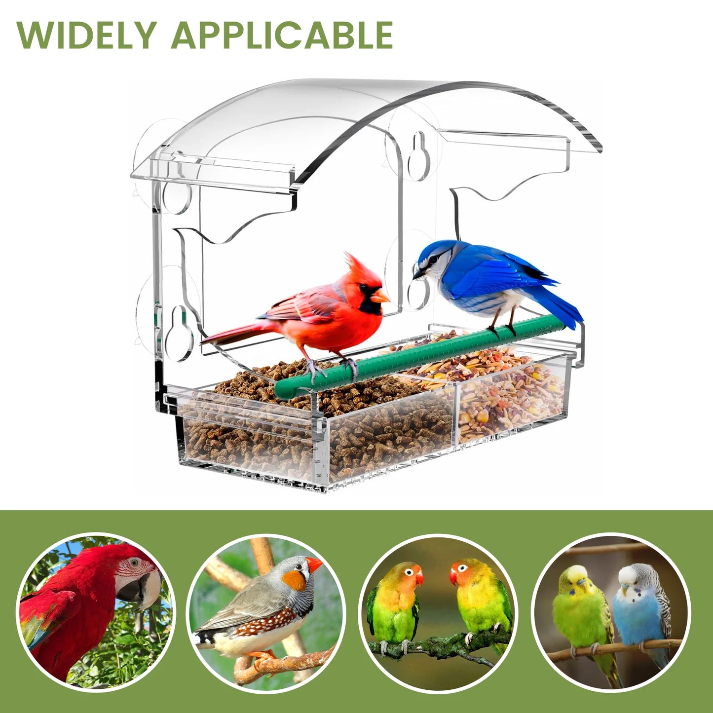 Window Bird Feeder Acrylic Clear Bird House with 4 Suction Cups Large Capacity Outdoor Bird Feeders Transparent Food Dispenser