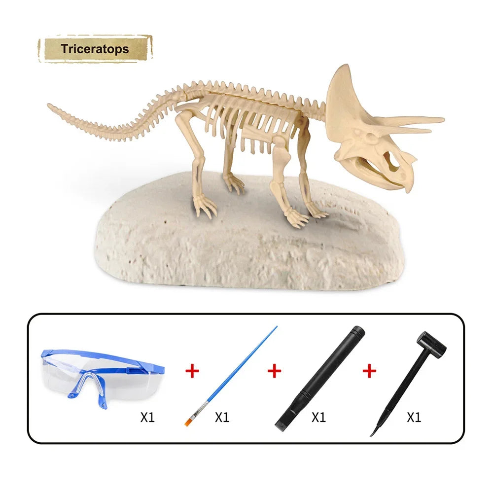 Dinosaur Fossil Excavation Kit for Kids Educational Archaeological Digging Adventure with Realistic Skeleton Models Perfect Gift for Boys and Girls
