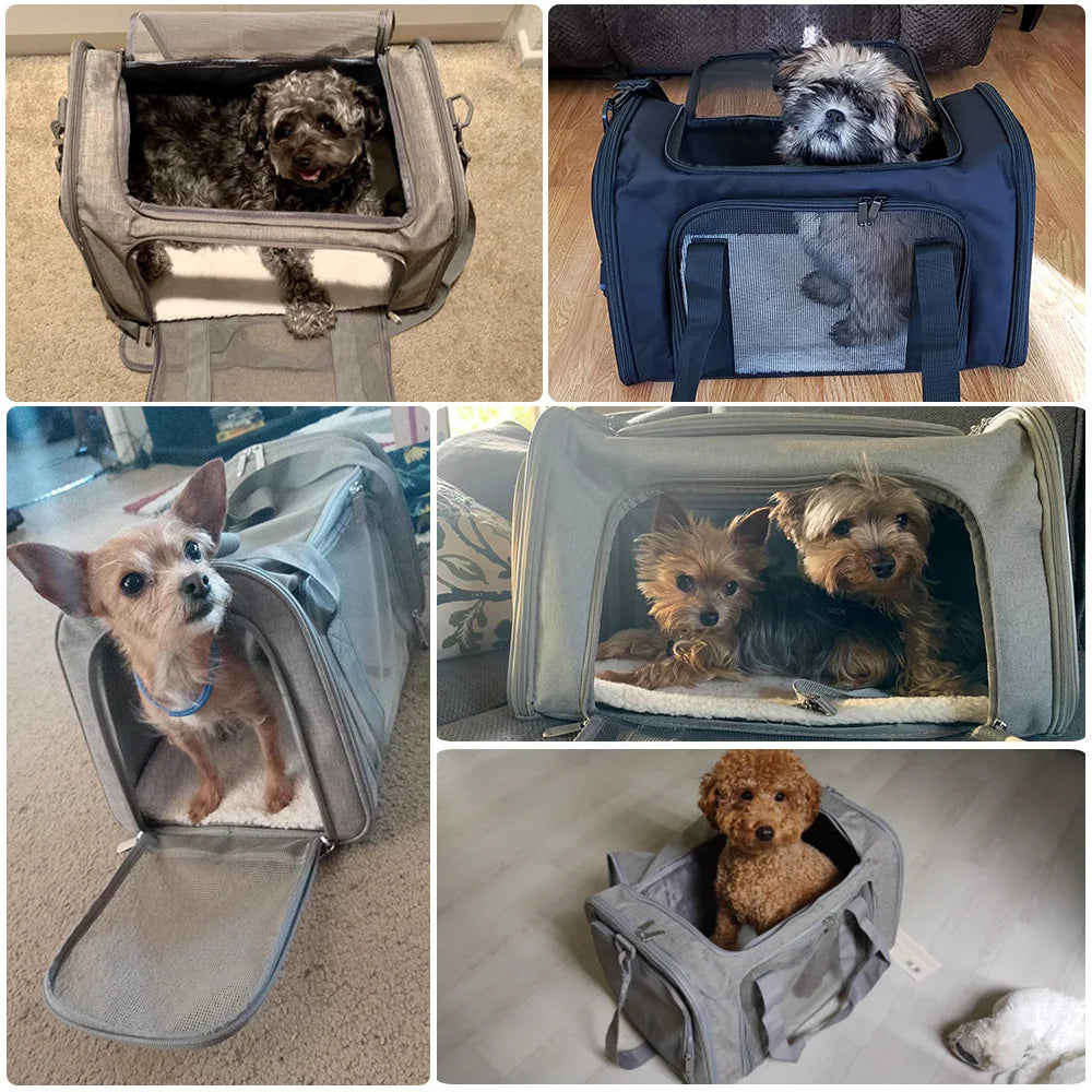 Dog Carrier Backpack Airline Approved for Small Dogs Cats