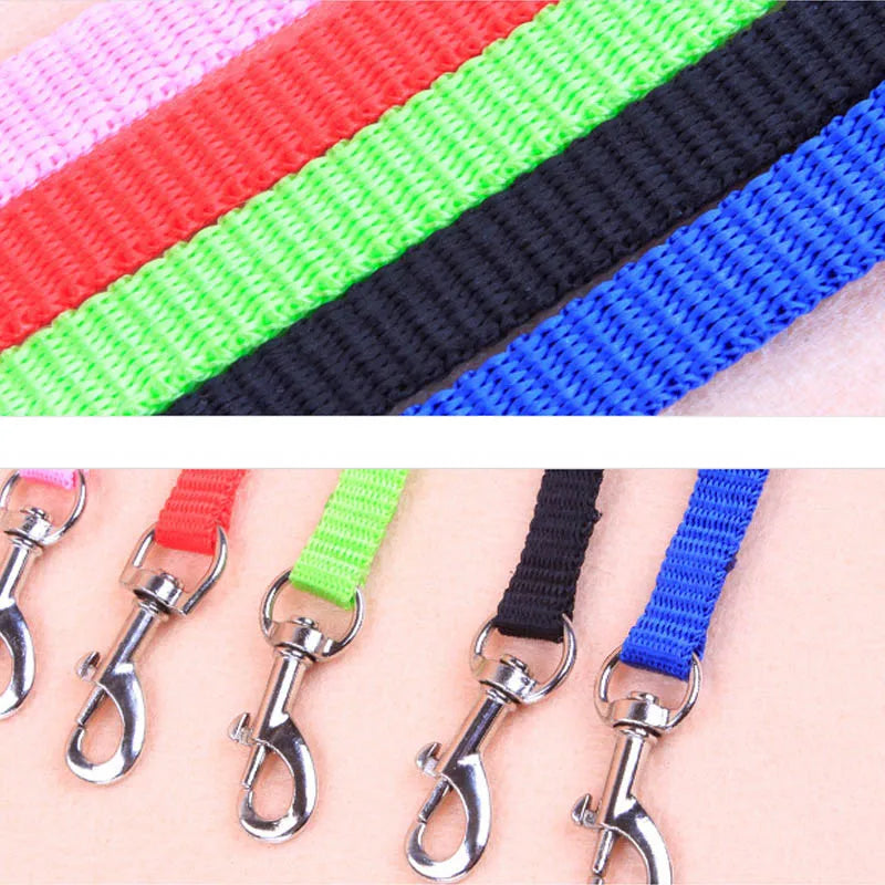 Cat Collar Harness Leash Adjustable Nylon Pet Traction Cat Kitten Dog Halter Collar gato Cats Products Pet Harness Belt
