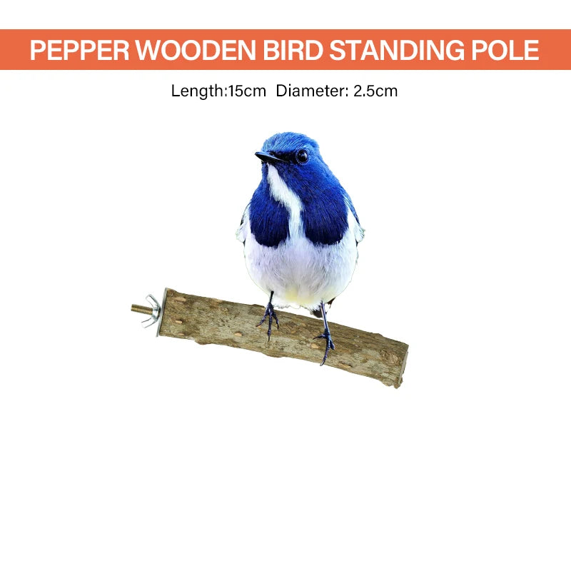 Bird Mirror Wooden Interactive Play Toy With Perch For Small Parrot Budgies Cockatiel Parakeet Conure Lovebird Cage Accessories