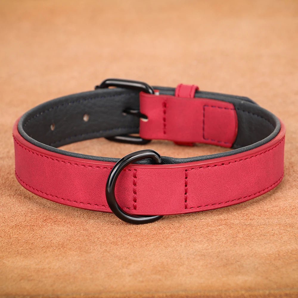 Large Dog Collar Soft Padded Real Leather for Big Dogs