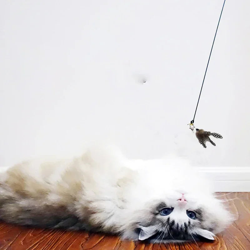 Cat Teaser Stick With Bell Feather Long Rod Suction Cup