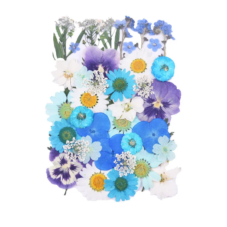 Dried Flowers Real Natural Plant Pressed Flower for Epoxy Resin DIY Keychain Pendant Jewelry Making