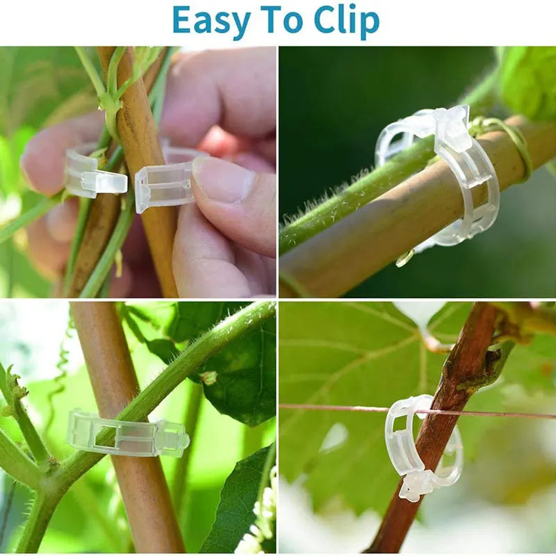 Clips para plantas Soportes de plástico reutilizables Conexiones Fijación de tallos de tomates en rama Injerto Plantas vegetales Herramientas para huertos y jardines