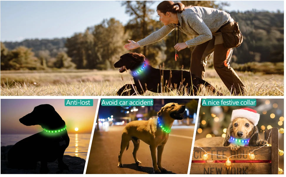 LED Luminous Dog Collar Waterproof USB Rechargeable Safety Light for Medium Large Small Dogs