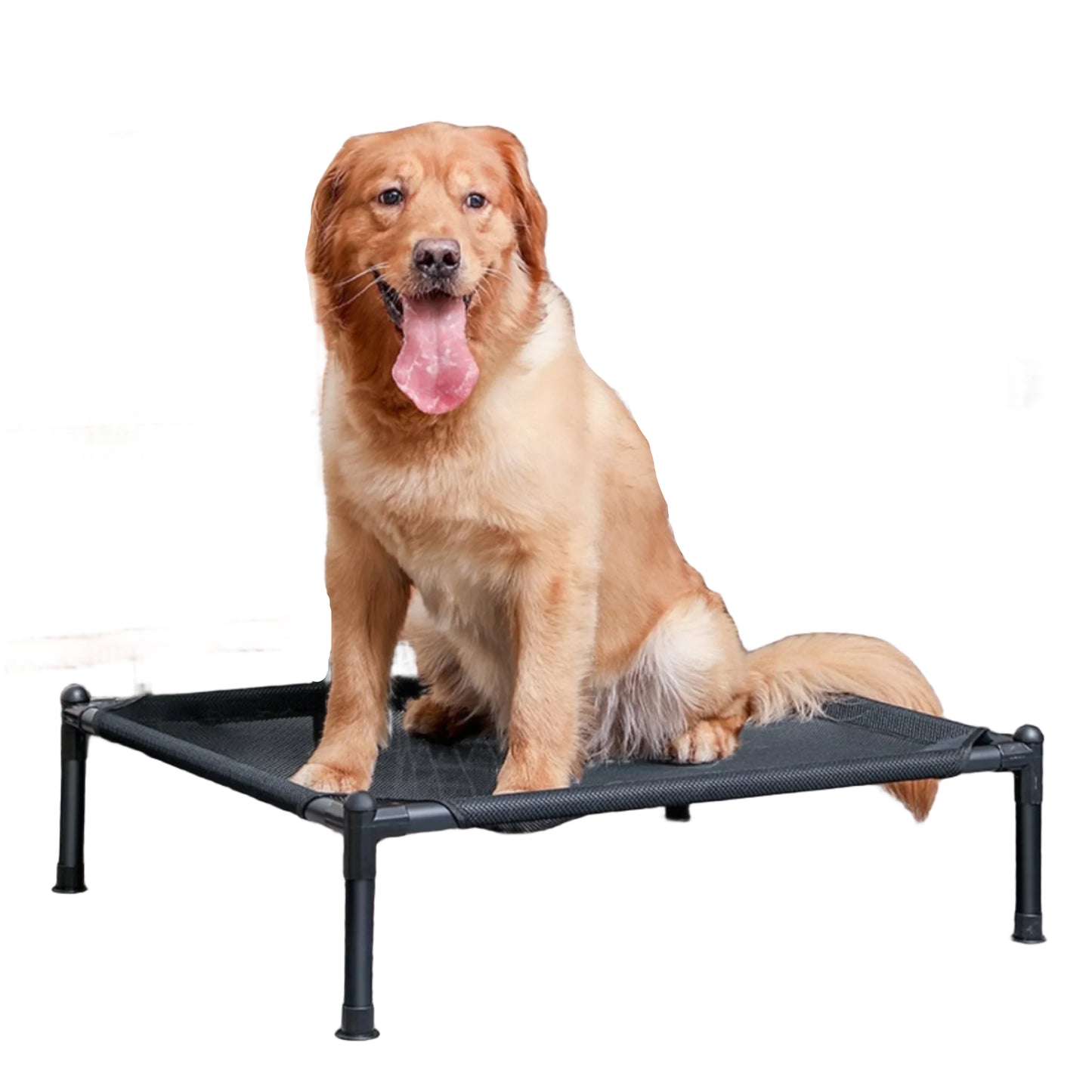 Elevated Pet Bed for Dogs and Cats Portable Folding Camping Bed Removable Washable Design for All Seasons Cozy Pet Kennel and Puppy Bed