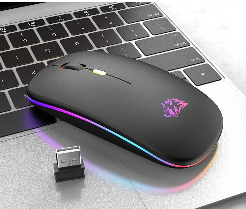Wireless Mouse Bluetooth and 2.4GHz Dual Modes RGB Ergonomic Silent Click for PC iPad Laptop