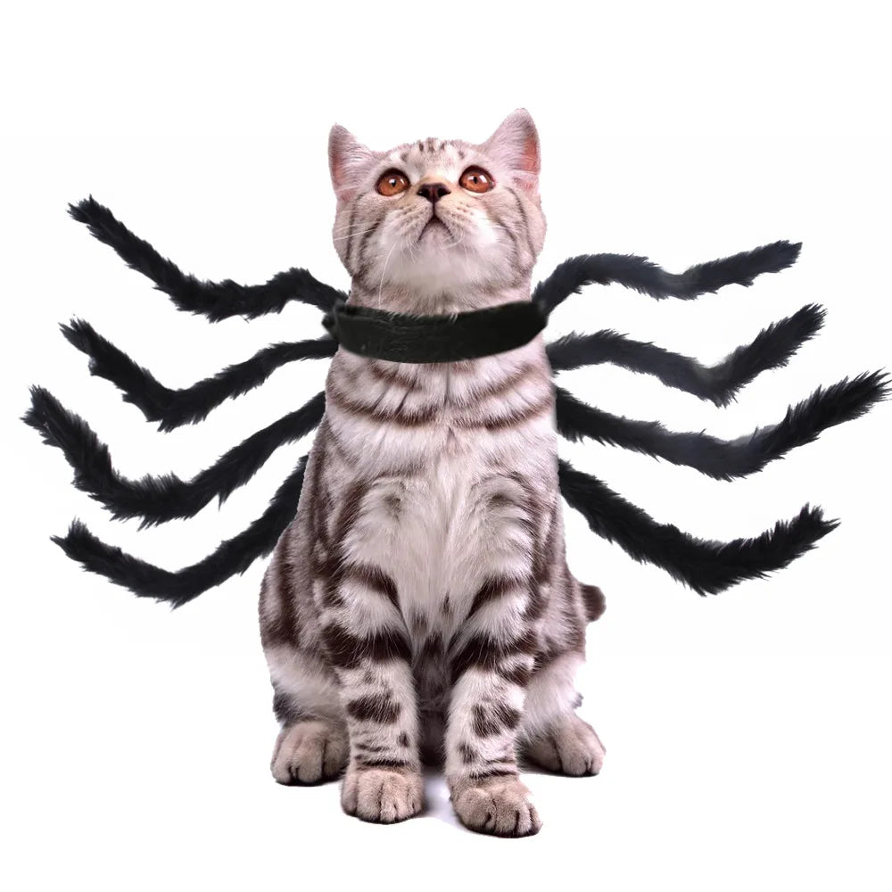Halloween Cute Pet Clothes Black Bat Wings Spider Harness Costume Cosplay Cat Dog Halloween Party for Pet Supplies