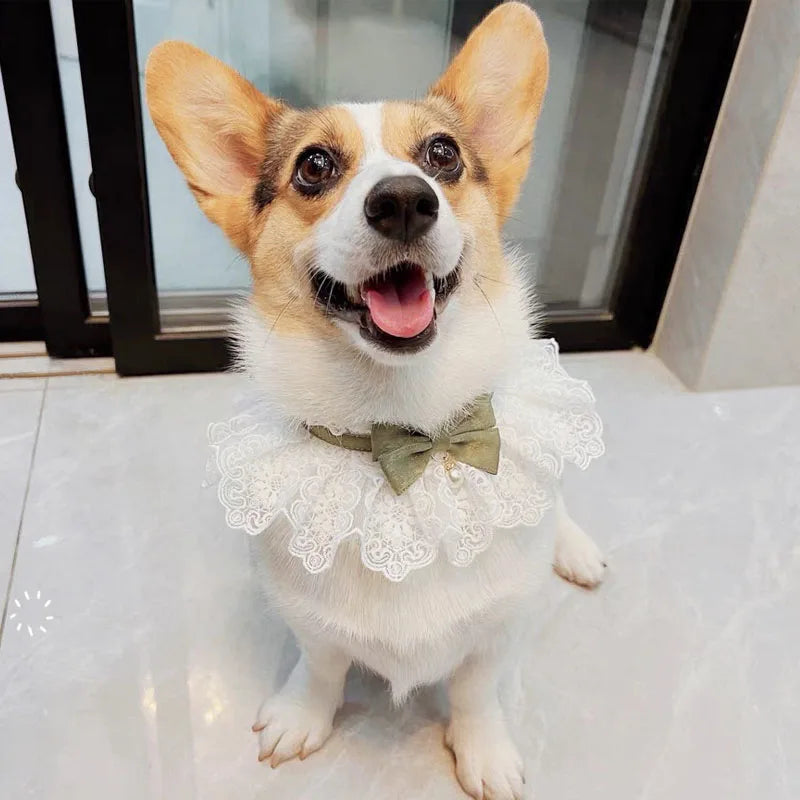 Cute Cat Bow Collar Lace Floral Aesthetic Cats Bowtie Collar Bow Tie Pet Bib for Indoor Cats Kitten and Small Dogs Puppies