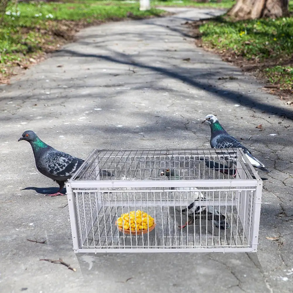 Auto Trap Bird Cage Rabbit Cage Mouse Cage Entry Only No Exit Thickened Encrypted Automatic Pigeon Collecting Portable Bird Cage