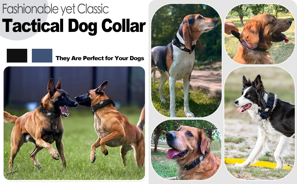Tactical AirTag Dog Collar with Handle and Metal Buckle for Medium Large Dogs