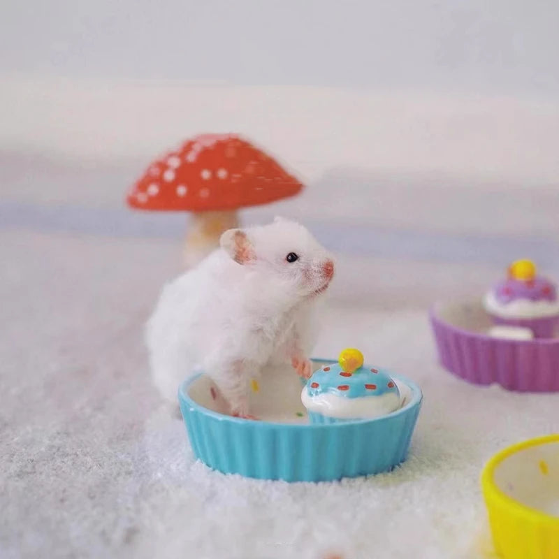 Ceramic Cake Hamster Bowl Small Pet Food Bowl for Home Use Multi-color Small Jewelry Box Rabbit Feeder Parrot Supplies