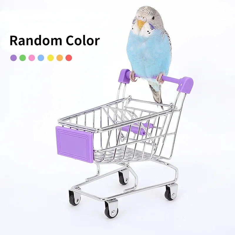 Bird Training Toy Supplies Basketball Stand Lovebird Shopping Cart Bird Toy Shoes Canary Skateboard Parrot Toy Accessories