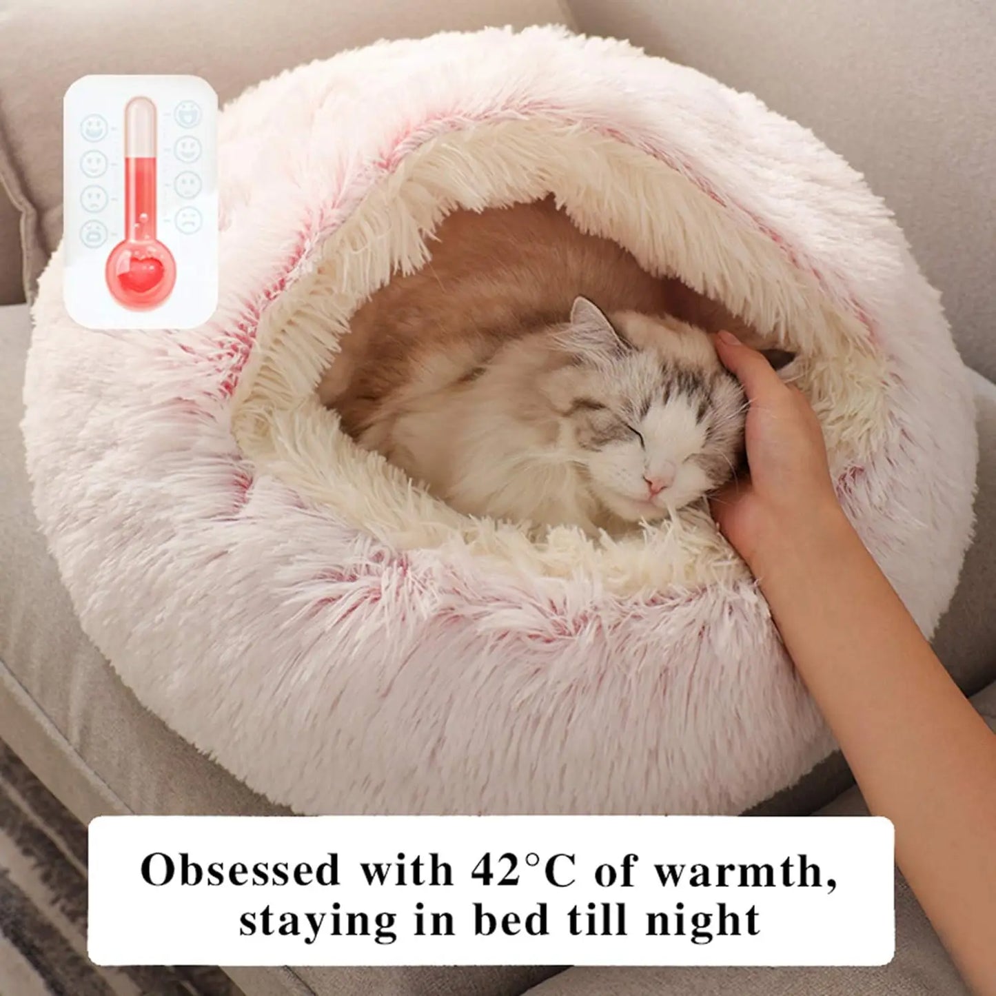 2 in 1 Soft Plush Pet Bed with Cover for Small Dogs and Cats