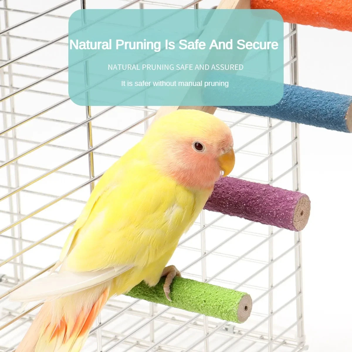 4/6/8 Step Bird Climbing Ladder Pet Interactive Ladder Parrot Grinding Claws and Teeth Climbing Toy Interactive Bird Accessories