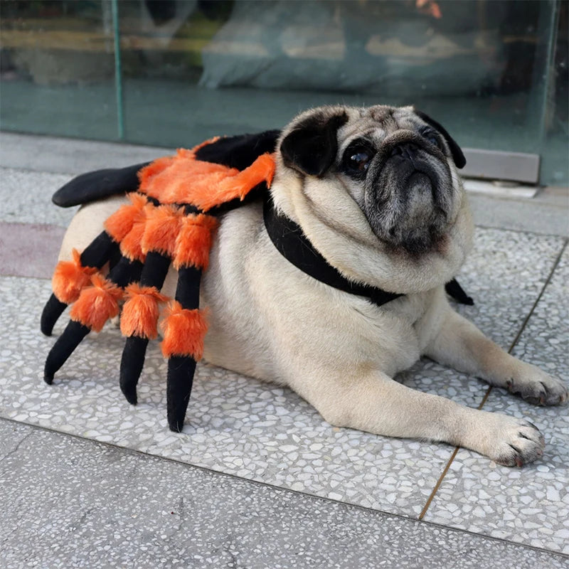 Halloween Cute Pet Clothes Red Eyed Spider Chest Back Transformation Costume Role Playing Cat Dog Halloween Party Pet Supplies