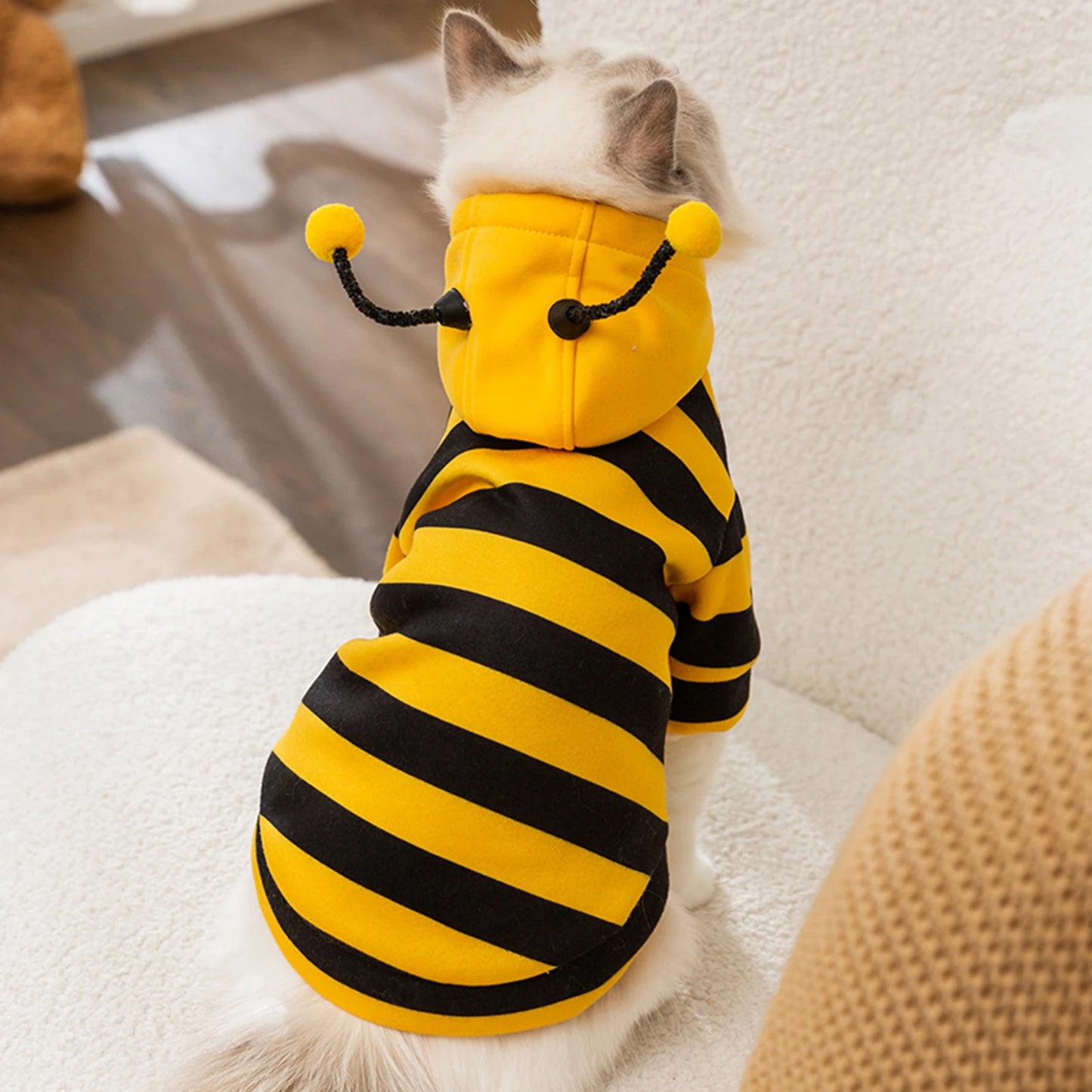 Cats Costume Pet Bee Halloween Costume Small Pets Apparel Fashion Adorable Cats Hoodies