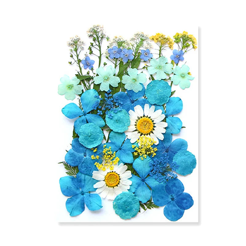 Dried Flowers Real Natural Plant Pressed Flower for Epoxy Resin DIY Keychain Pendant Jewelry Making