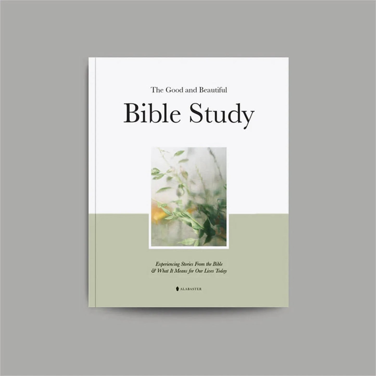 Easter Gift The Good and Beautiful Bible Study Book