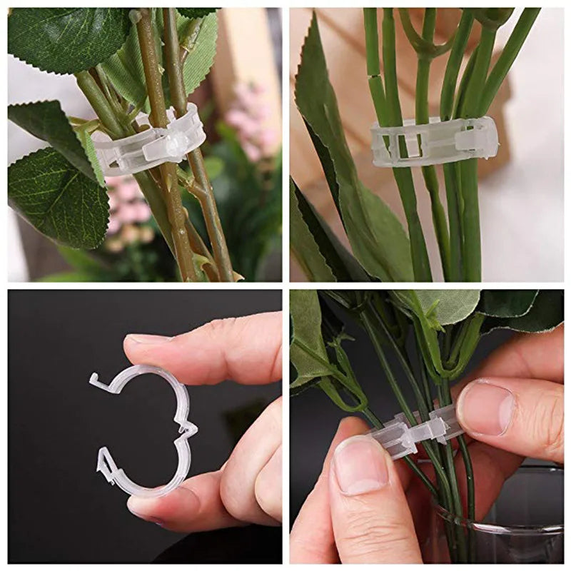 Clips para plantas Soportes de plástico reutilizables Conexiones Fijación de tallos de tomates en rama Injerto Plantas vegetales Herramientas para huertos y jardines