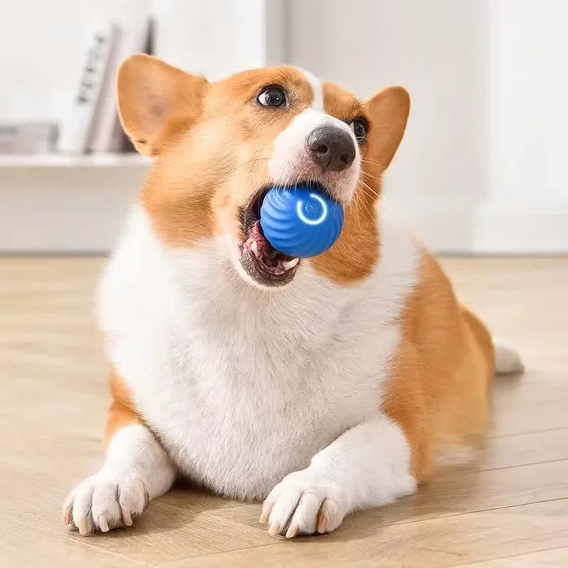 Dog Toys Intelligent Gravity Jump Ball Rechargeable Chase Interactive Pet Toy