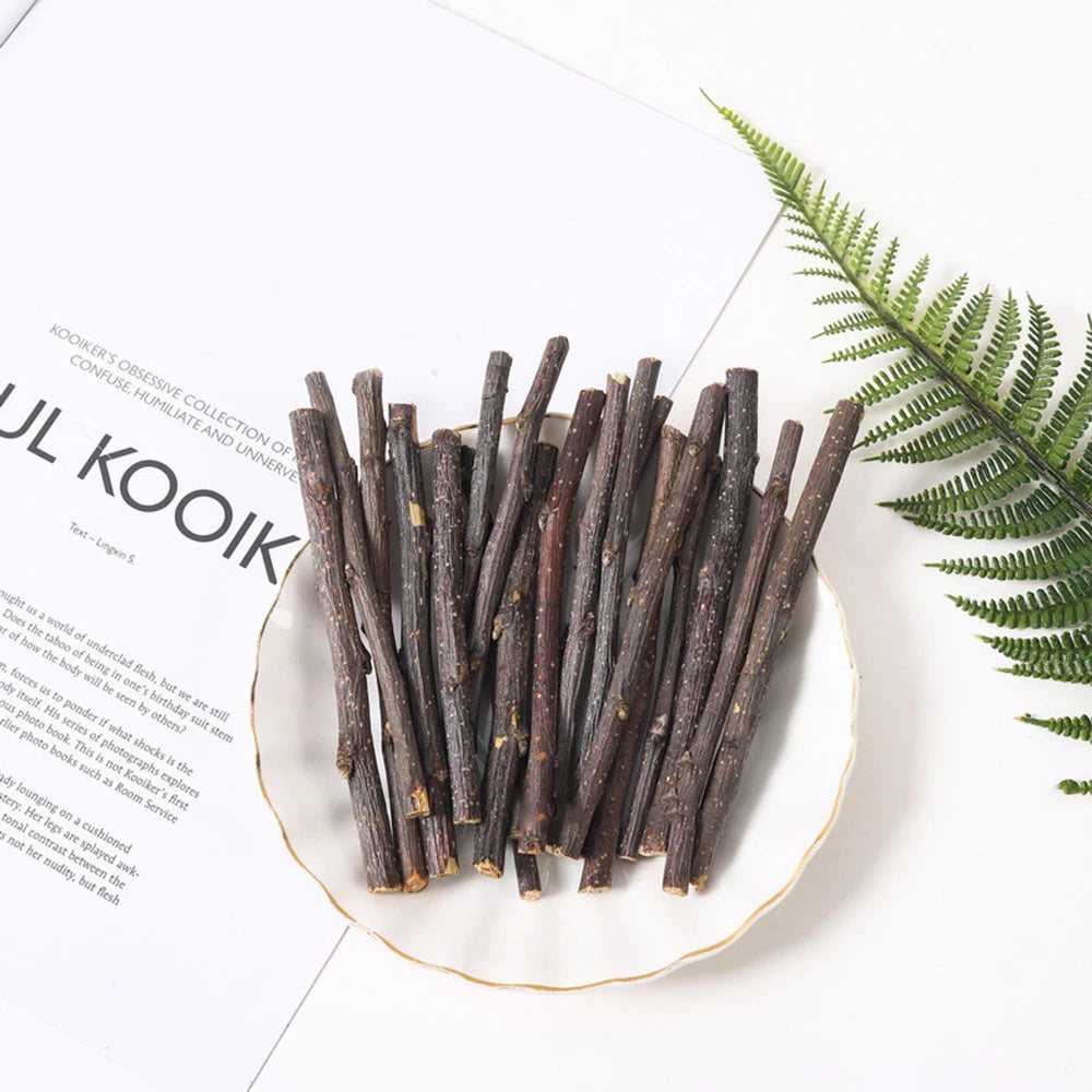 10/20pcs Professional Hamster Rabbit Molar Stick Apple Tree Stick Minerals Molar Toys for Chinchilla Hamster Rabbit Pet Supplies