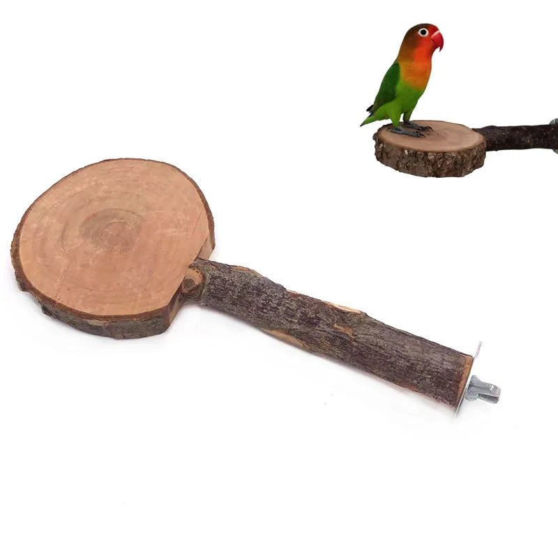 Natural Wood Pet Parrot Raw Wood Fork Tree Branch Stand Rack Squirrel Bird Hamster Branch Perches Chew Bite Toys Stick Hot Sale