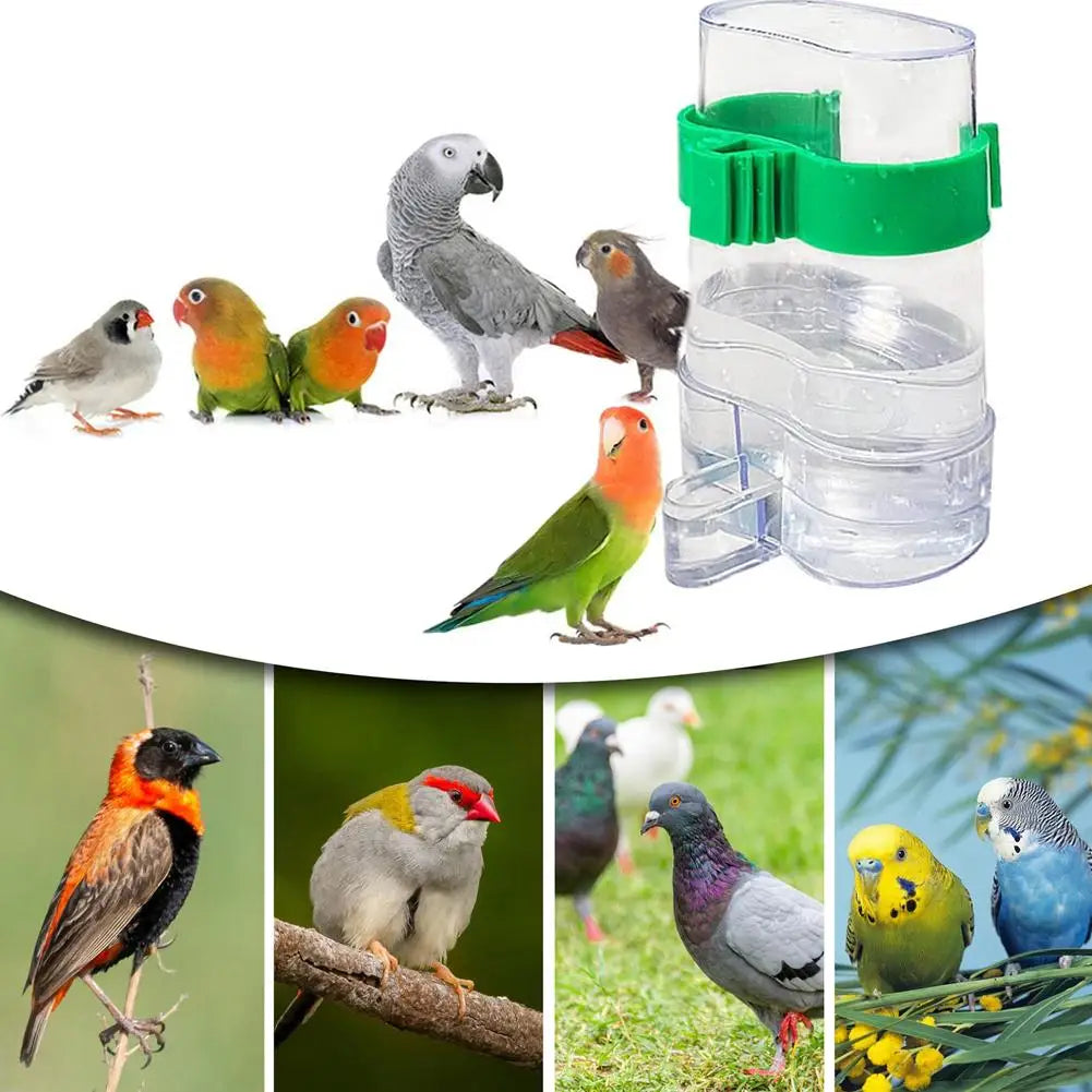 Automatic Bird Water Dispenser Bird Drinking Feeder Transparent Bird Cage Water Fountain for Budgie Cockatiel Lovebird Canary