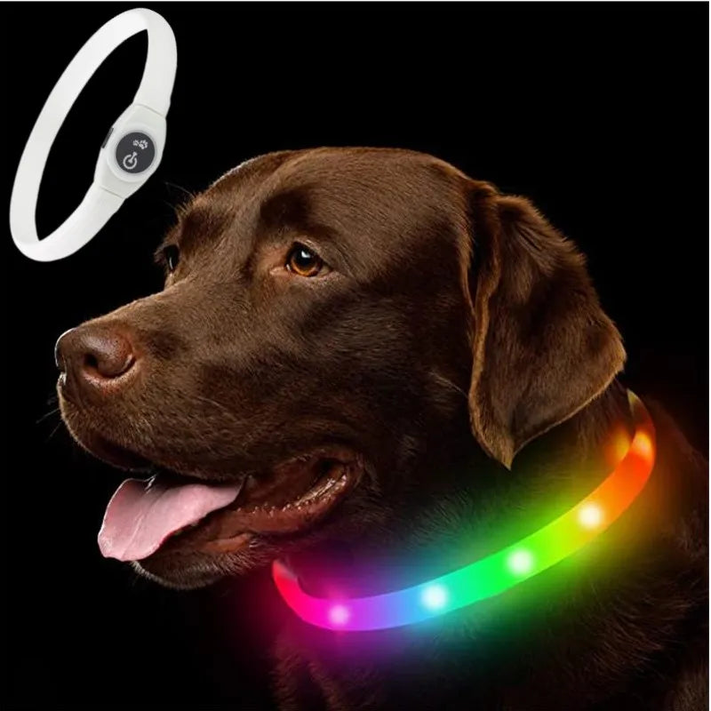 LED Luminous Dog Collar Waterproof USB Rechargeable Safety Light for Medium Large Small Dogs
