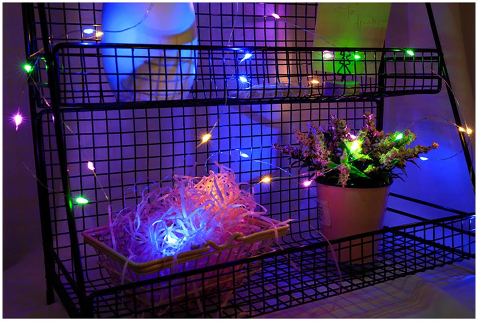 10M 5M 3M 2M Copper Wire LED Tinsel Garland Fairy Lights