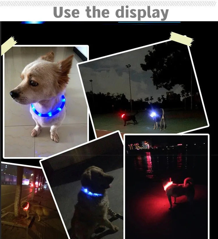 LED Luminous Dog Collar Waterproof USB Rechargeable Safety Light for Medium Large Small Dogs