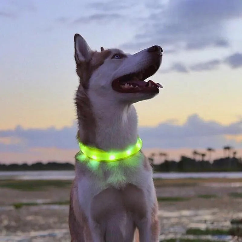 LED Luminous Dog Collar Waterproof USB Rechargeable Safety Light for Medium Large Small Dogs