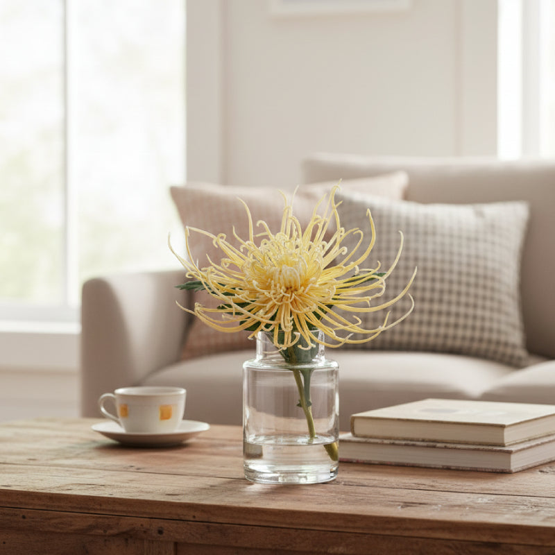 Allstate Floral 9.5" Spider Mum Flower Arrangement with Glass Vase