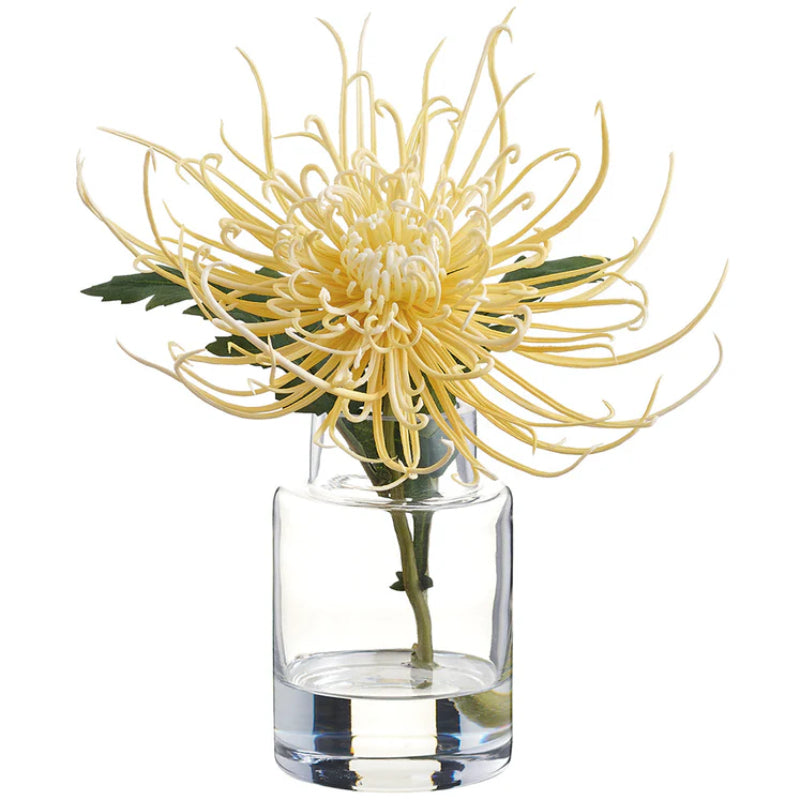 Allstate Floral 9.5" Spider Mum Flower Arrangement with Glass Vase